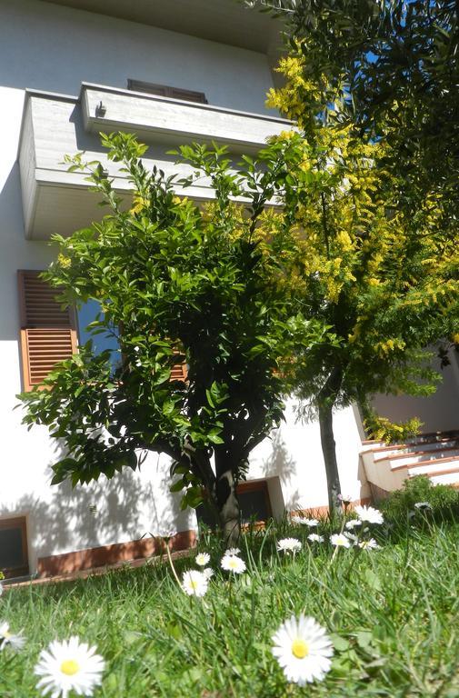 Brezza Affittacamere Montemarciano Luaran gambar